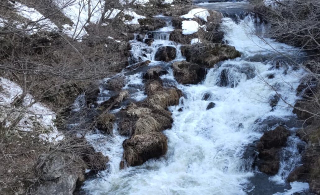 6d563c9a-06bc-4427-88f0-ff47efa83b59