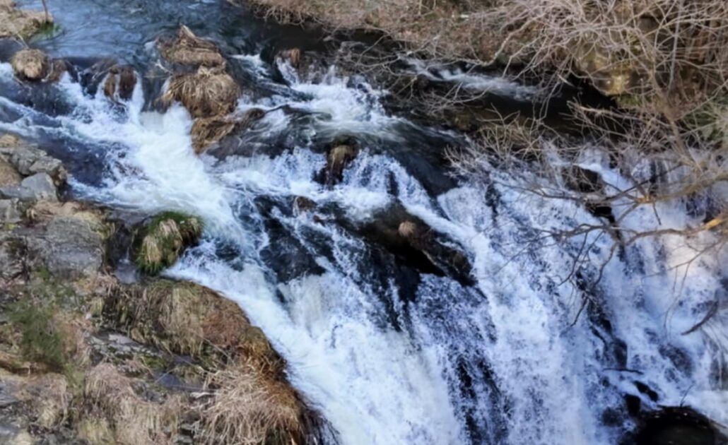 6fae652e-1eb0-4c47-b892-4abcaf98d664