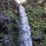 12704347-b611-412e-94ea-8796278b860b